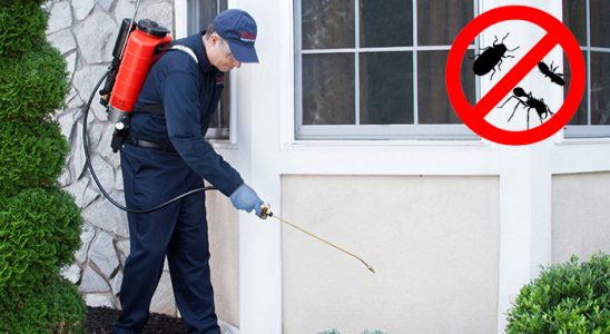 Sarız Fare İlaçlama böcek ilaçlama ve haşere kontrolü — ilaclama-tr.com